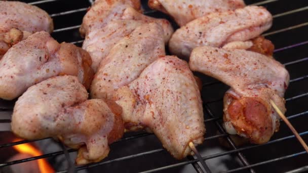 Delicious chicken wings on the wooden skewer are roasting on the grill grid — Stock Video