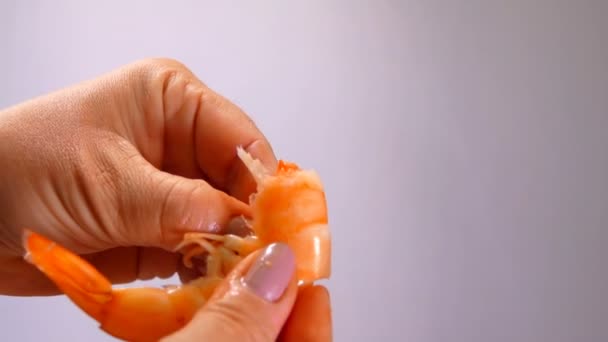 Les mains féminines épluchent une crevette fraîche de sa coquille — Video