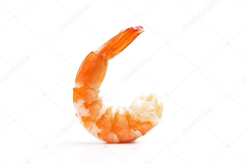 shrimps on a white background