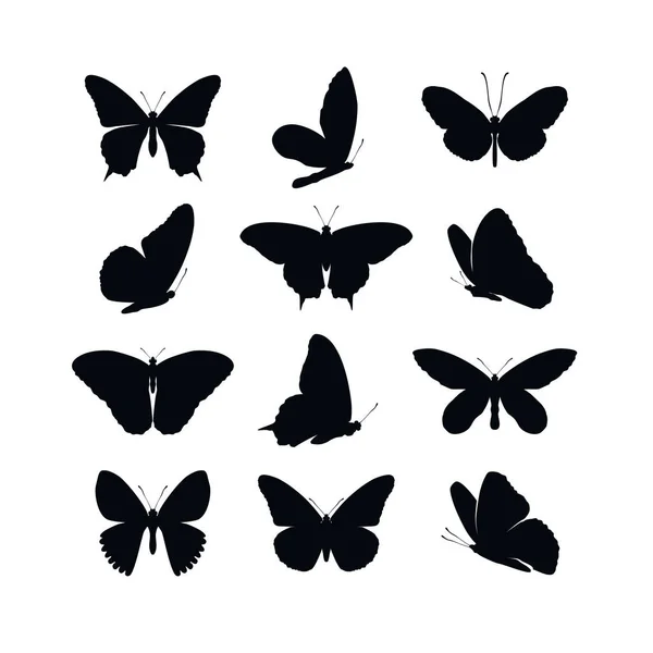 Set butterflies collection spring and summer black silhouettes on white background. Icons different shapes wings, for illustration, ornaments, tattoo, decorative design elements. Vector illustration. — Stock Vector