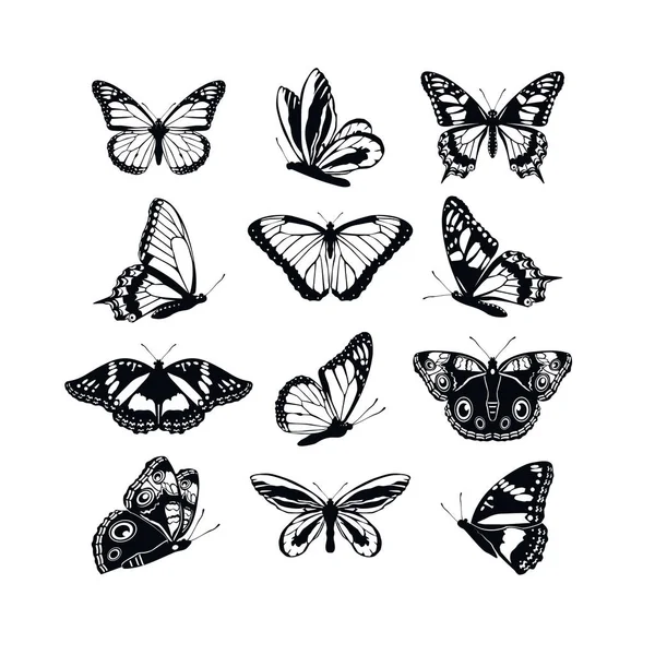 나비 컬렉션 봄을 설정 하 고 흰색 바탕에 검은 실루엣을 여름. 아이콘이 다른 모양 날개, 그림, 장식품, 문신, 장식 디자인 요소에 대 한. 벡터 일러스트 레이 션. — 스톡 벡터