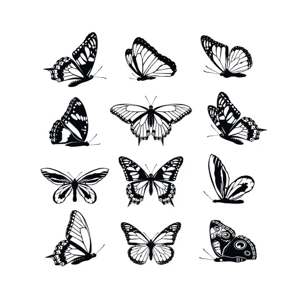 Set farfalle collezione primavera ed estate sagome nere su sfondo bianco. Icone diverse forme ali, per illustrazione, ornamenti, tatuaggio, elementi decorativi di design. Illustrazione vettoriale . — Vettoriale Stock