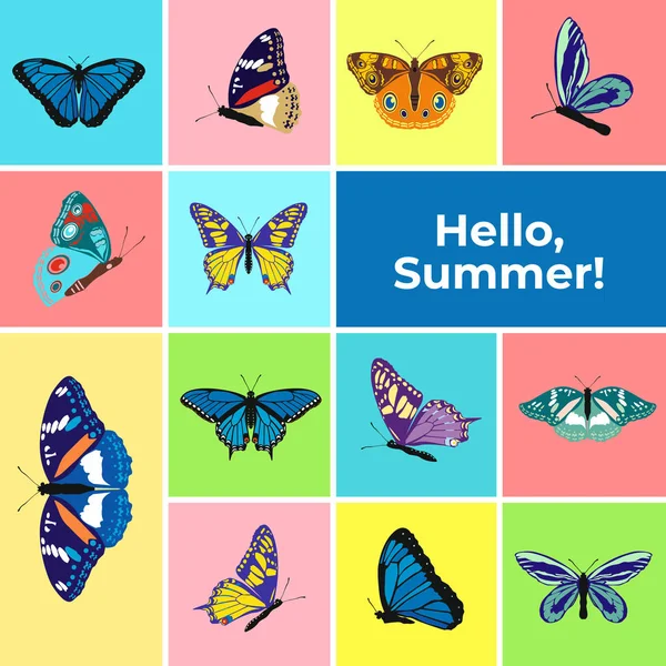 나비의 화려한 배너, 텍스트 안녕하세요 여름. 봄 여름 나비 아이콘의 집합입니다. 홍보 포스터에 대 한 배경, 광고, 소책자, 할인 배너, 판매. 벡터 일러스트 — 스톡 벡터