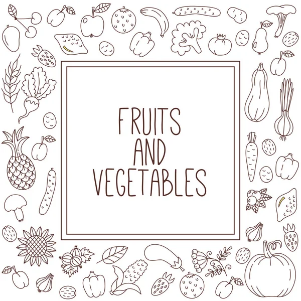 Frukt Och Grönsaker Ekologiska Livsmedel Doodle Vektor Set Square Kantlinje — Stock vektor
