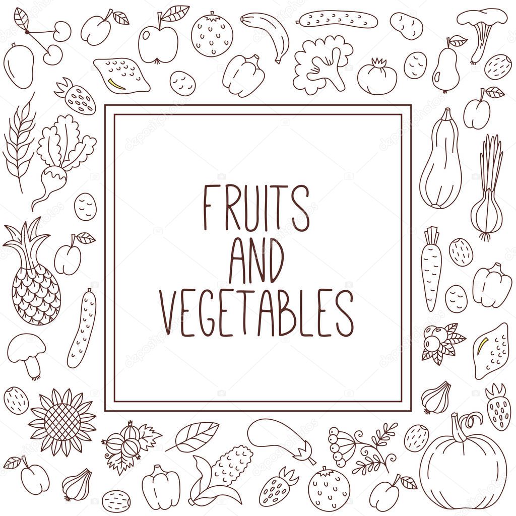 Fruits and vegetables organic food doodle vector set line square border