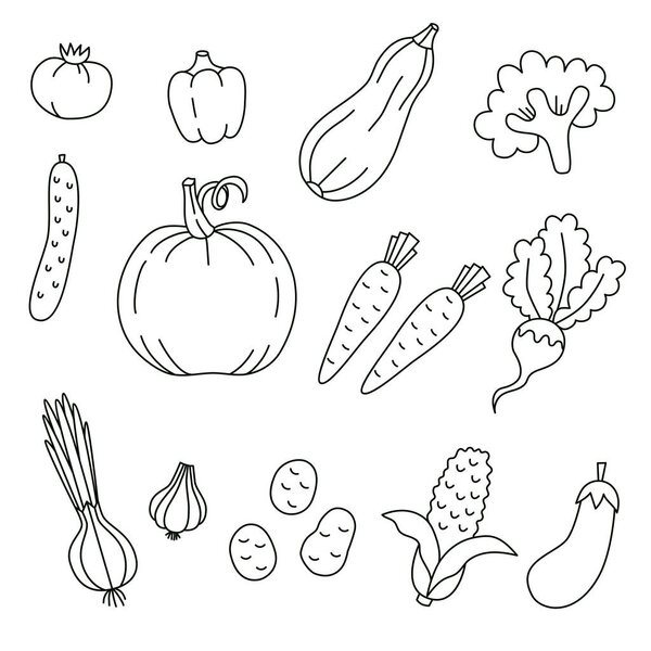 Vegetables doodle line icons vector set