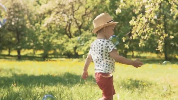 Маленький ребенок в шляпе ловит пузырьки. Маленький мальчик играет на улице в летний день — стоковое видео