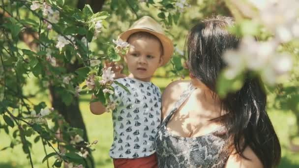 Joven madre con su adorable niño de dos años jugando al aire libre con amor — Vídeos de Stock