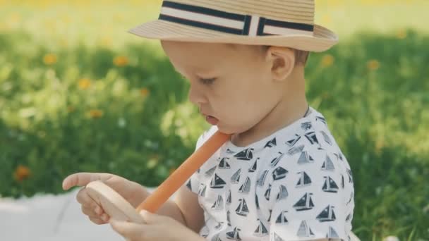 Niño jugando con juguete en el picnic. Concepto de familia feliz — Vídeos de Stock