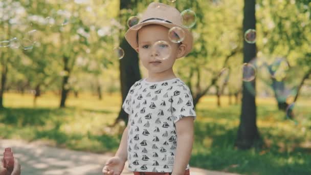 Malé dítě v klobouku chytat bubliny. Malý chlapec hrát venku na letním dni — Stock video