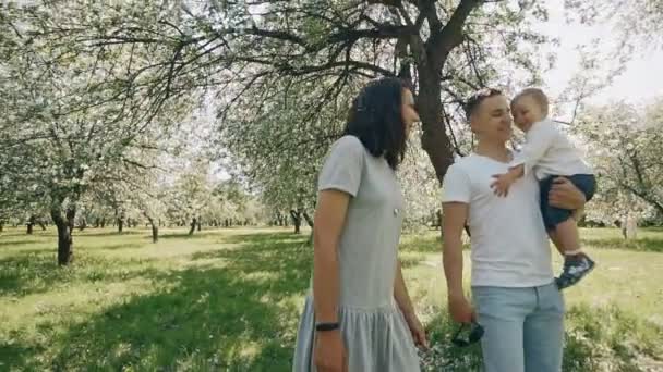 Улыбающиеся кавказские родители, гуляющие с сыном в летнем парке яблонь — стоковое видео