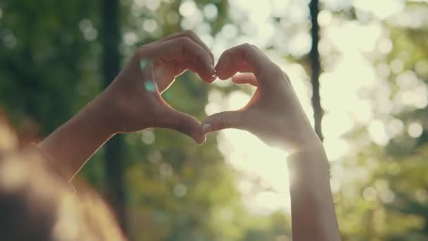 Closeup of female and male hands showing heart shape at sunset. Relationships — Stock Video