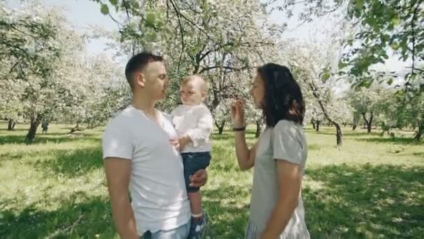 Usmívající se rodiče zvedl syna v létě apple tree parku. Šťastný rodinný koncept — Stock video