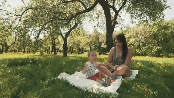 Felice giovane madre che gioca sulla coperta con il suo figlio carino sotto l'albero al parco — Video Stock