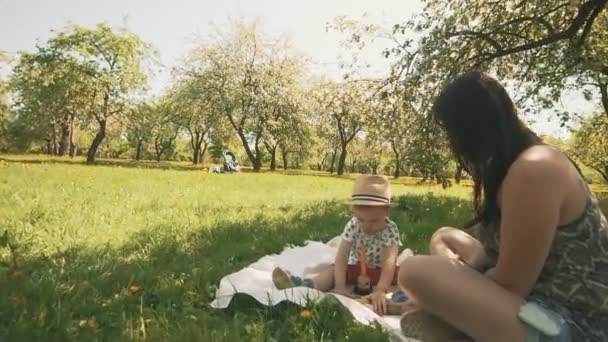 Feliz joven madre jugando en manta con su adorable hijo bajo el árbol en el parque — Vídeos de Stock