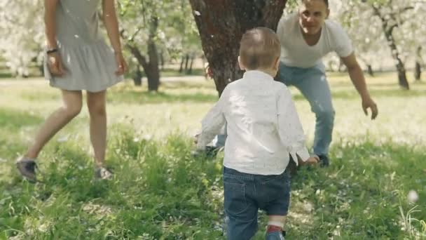 Улыбающиеся кавказские родители, гуляющие с сыном в летнем парке яблонь — стоковое видео