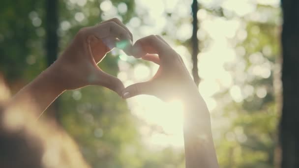 Coppia che fa la forma del cuore con le mani al tramonto al tramonto al parco — Video Stock