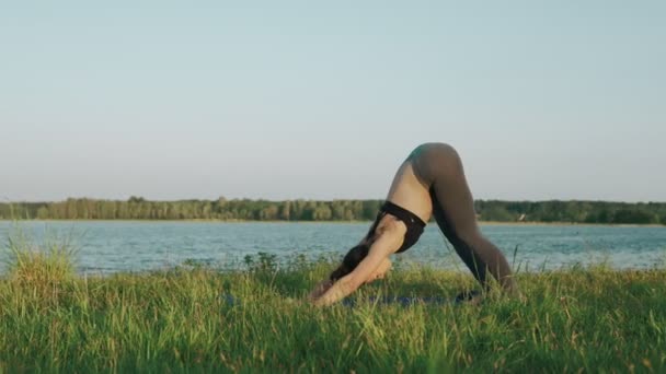 Smal kvinna utövar yoga i morgon. Brunett tjej gör yoga drag — Stockvideo