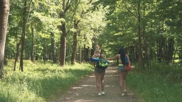 Chicas de fitness caminan con bolsa de deporte. Chicas jóvenes preparándose para hacer ejercicio o correr — Vídeos de Stock