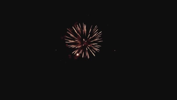 Красочные фейерверки в праздничную ночь в замедленной съемке — стоковое видео
