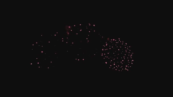 Coloridos fuegos artificiales en la noche de vacaciones en cámara lenta — Vídeos de Stock
