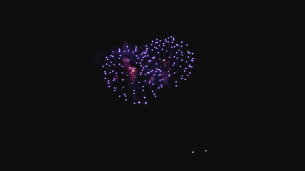 Fogos de artifício coloridos na noite de férias em slomo — Vídeo de Stock