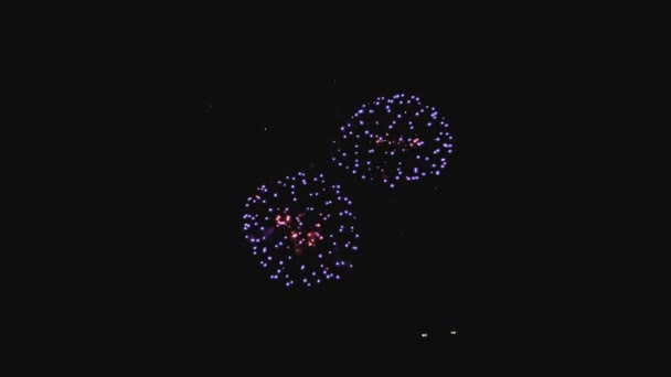 Fogos de artifício coloridos na noite de férias em slo-mo — Vídeo de Stock