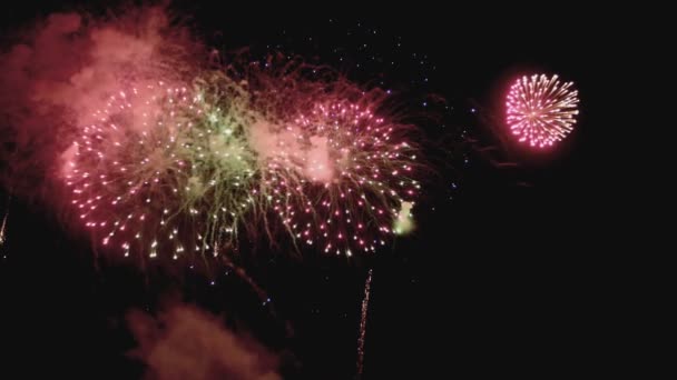 Coloridos fuegos artificiales en la noche de vacaciones en cámara lenta — Vídeo de stock