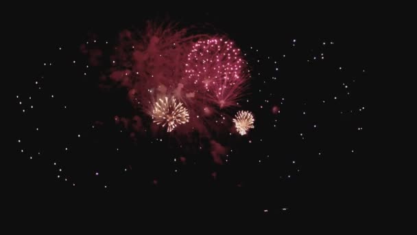 Capodanno fuochi d'artificio di notte al rallentatore — Video Stock