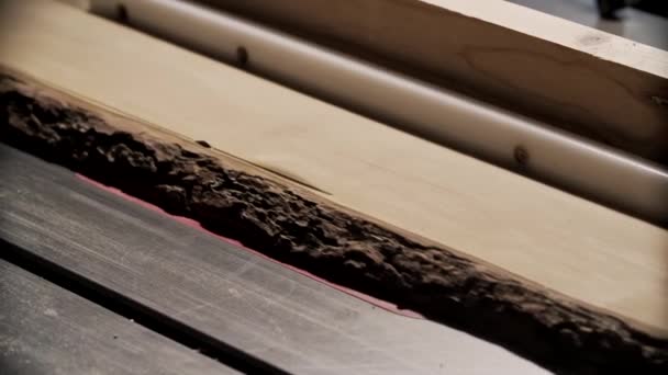 Corte de prancha de madeira por serra elétrica. Serra circular rotativa na mesa — Vídeo de Stock