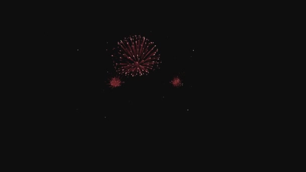 Coloridos fuegos artificiales en la noche de vacaciones en slo-mo — Vídeos de Stock