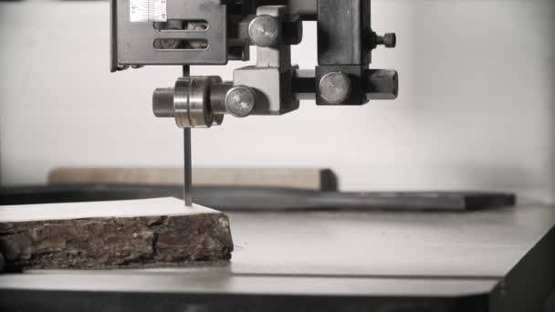 大工の治具で木の板を製材機を見た。Copyspace でクローズ アップ — ストック動画