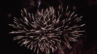 Ağır çekimde tatil geceleri güzel fireworks ile boşaltmak sağ