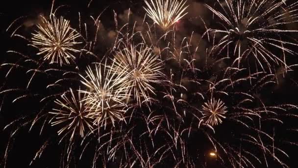 Bellissimi fuochi d'artificio durante la notte di vacanza al rallentatore con copyspace a destra — Video Stock