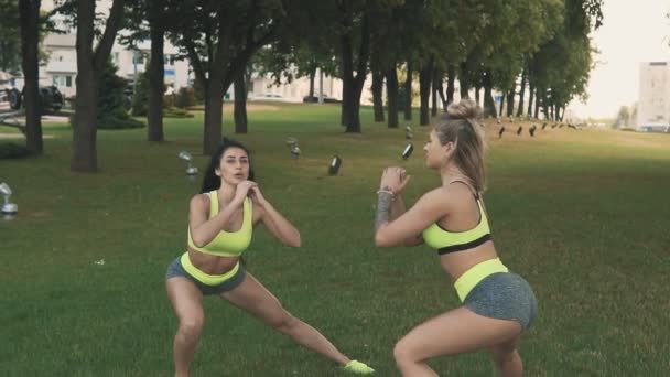Niedlich fitte junge Frauen beim Aufwärmen Stretching in der Natur. Sportliche Fitness — Stockvideo