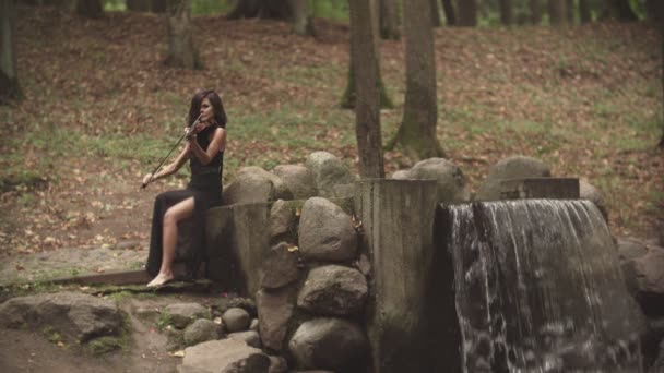 Le jeune violoniste joue avec l'inspiration. Fille en robe jouer du violon dans la forêt — Video