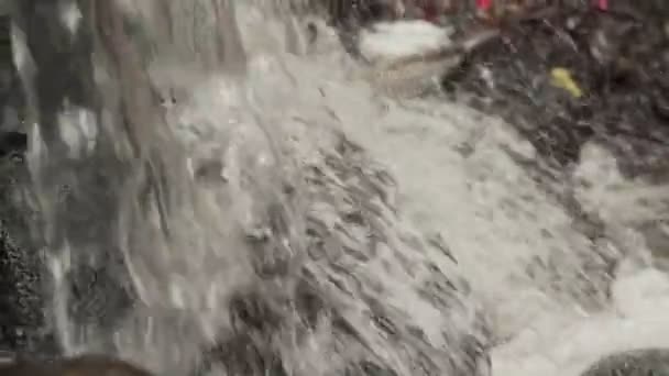 Pequena cachoeira na floresta profunda em câmera lenta — Vídeo de Stock