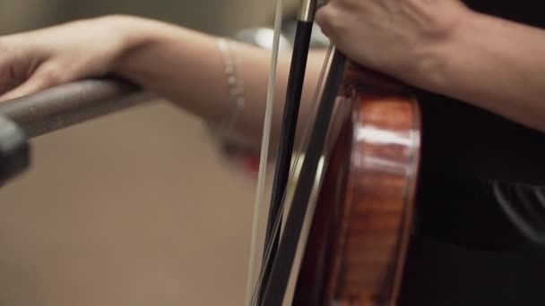 Vue rapprochée des mains violonistes avec violon — Video