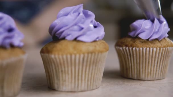 Använda matlagning väska, baker att göra cupcake. Pålagda välsmakande muffin lila smörkräm — Stockvideo