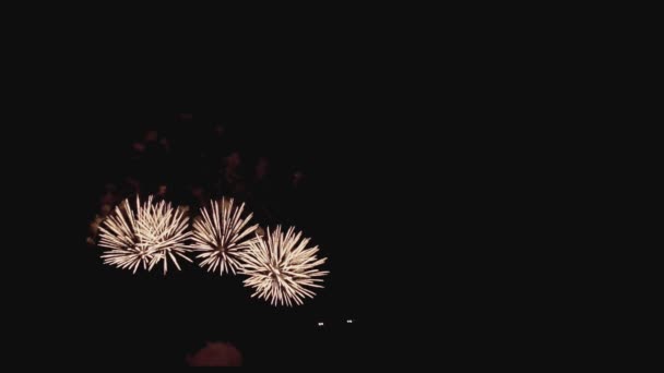 Prachtige vuurwerk in slowmotion nachts vakantie met copyspace aan de rechterkant — Stockvideo