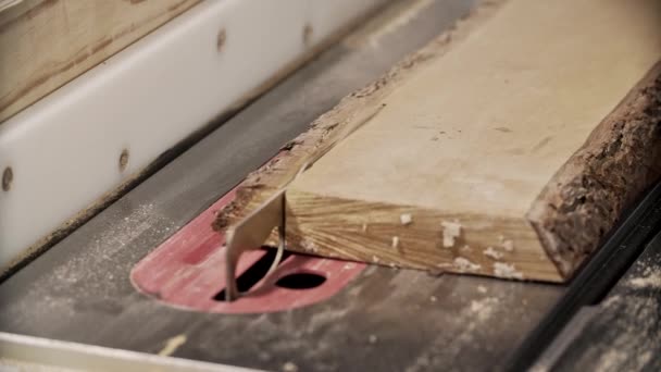 Corte de prancha de madeira por serra circular elétrica — Vídeo de Stock