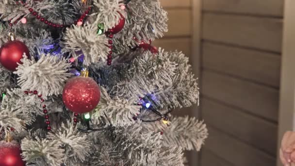 Close-up de mãos de mulher decorando árvore de Natal por bolas vermelhas — Vídeo de Stock