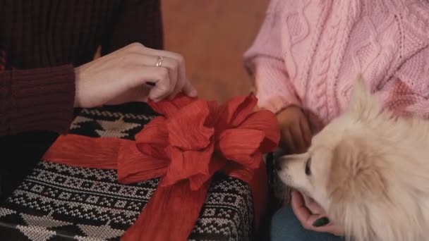 Молодые семейные подарки на Рождество. Портрет семьи с дочерью и собакой — стоковое видео