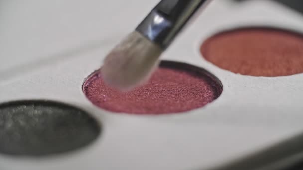 Brosse de maquillage touchant la palette cosmétique des couleurs au ralenti — Video