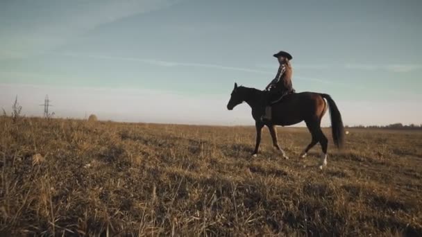 Vackra cowgirl ridning häst i bakgrunden sunrise fältet. Ung kvinna på häst — Stockvideo