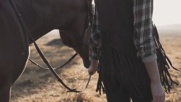 Νεαρό κορίτσι παίρνει σκοτεινό άλογο με τα πόδια στην Ανατολή του ηλίου. Όμορφο άλογο περπάτημα — Αρχείο Βίντεο