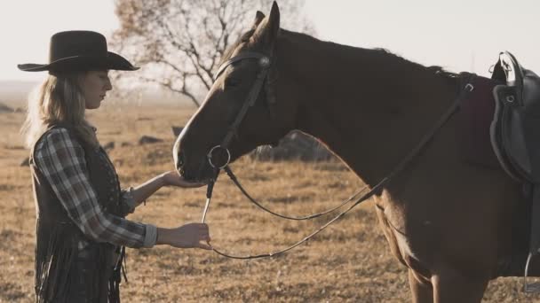 Mediana toma de hermosa joven con su caballo oscuro disfrutando de la naturaleza — Vídeos de Stock