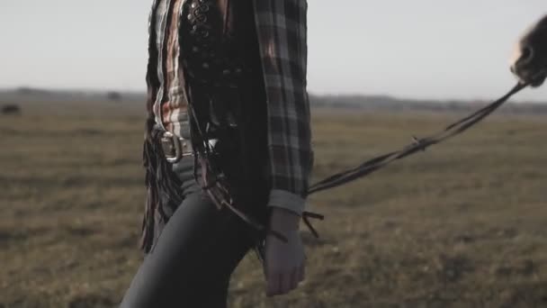 Piękny potężny koń z kobieta spaceru i spoglądając na pole łąka rano — Wideo stockowe