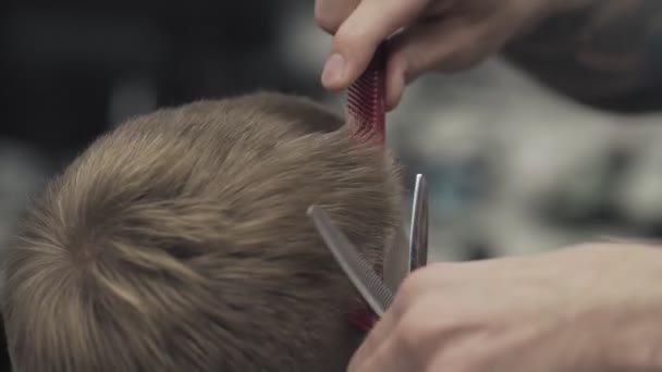 理发师在理发店理发 关闭理发师用剪刀剪掉客户的头发 在理发店或发廊做男人的发型和发型 工作场所的吹风机 — 图库视频影像