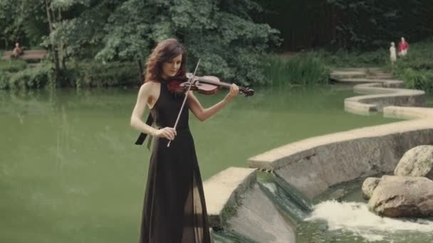 Elegante violinista morena en bosque juega en puente al aire libre — Vídeo de stock